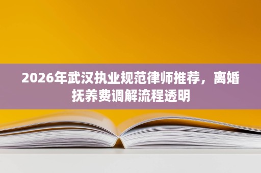 2026年武汉执业规范律师推荐,离婚抚养费调解流程透明 2026年武汉执业规范律师推荐,离婚抚养费调解流程透明