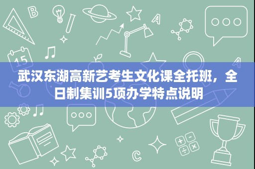 武汉东湖高新艺考生文化课全托班，全日制集训5项办学特点说明