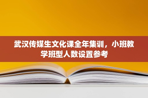 武汉传媒生文化课全年集训,小班教学班型人数设置参考 武汉传媒生文化课全年集训,小班教学班型人数设置参考