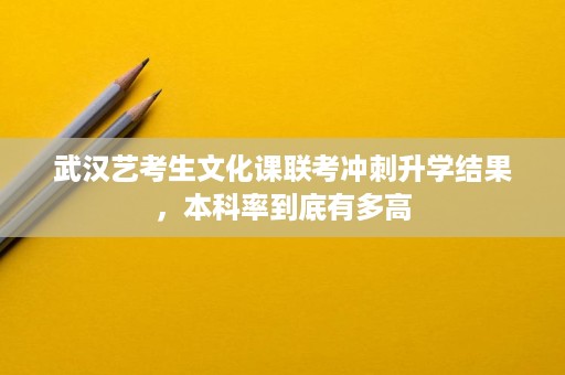 武汉艺考生文化课联考冲刺升学结果,本科率到底有多高 武汉艺考生文化课联考冲刺升学结果,本科率到底有多高